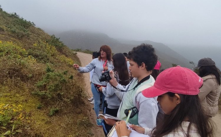  Las Lomas de Lachay: un aula al aire libre