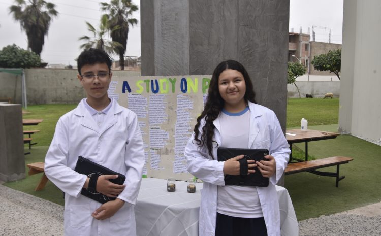  Steam fair: Innovación y ciencia en acción