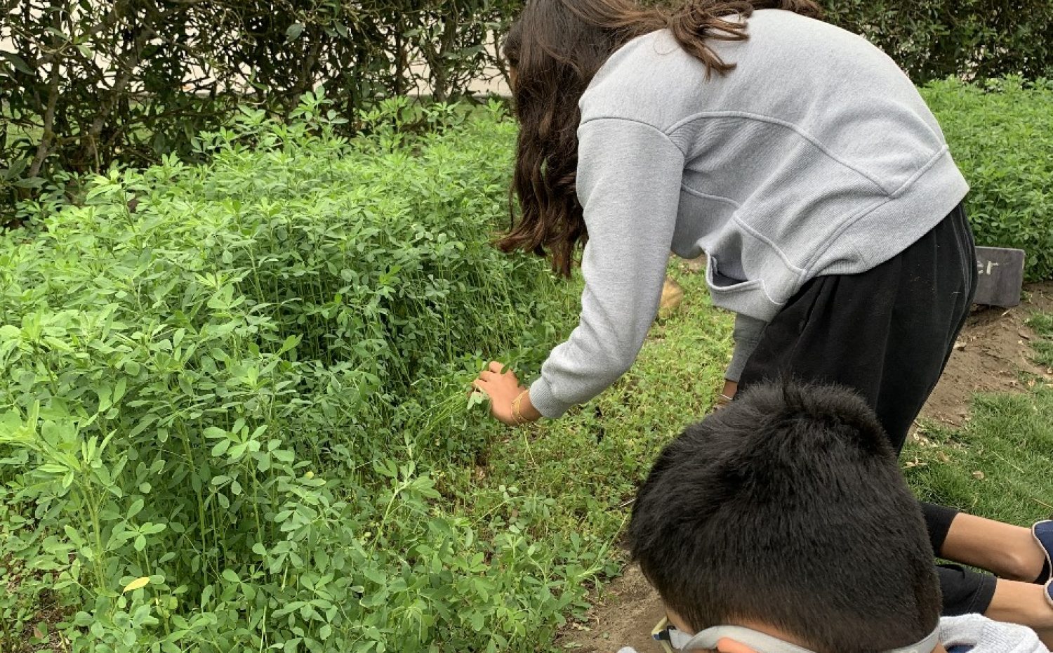 Imagen de WhatsApp 2025-11-28 a las 14.40.19_81086d01